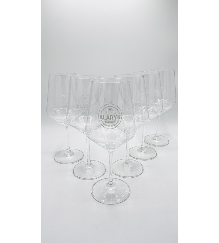 Lot de 6 Verre à bière Alaryk 25/33 cl