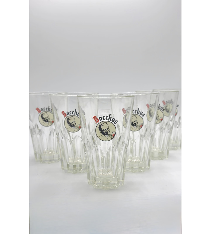 Lot de 6 Verre à bière Bacchus 25 cl