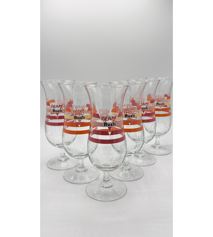 Lot de 6 Verre à bière Pêche Mel'Bush / Fram'Bush 25/33 cl