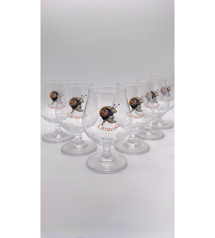 Lot de 6 Verre à bière Caracole 25 cl
