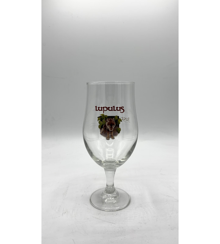 Verre à bière Lupulus 50 cl