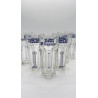 Lot de 6 Verre à bière Hoegaarden Freeze 25 cl