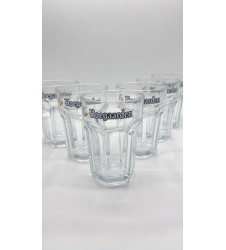 Lot de 6 Verre à bière Hoegaarden 33 cl