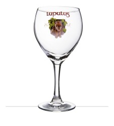 Verre à bière Lupulus 33 cl